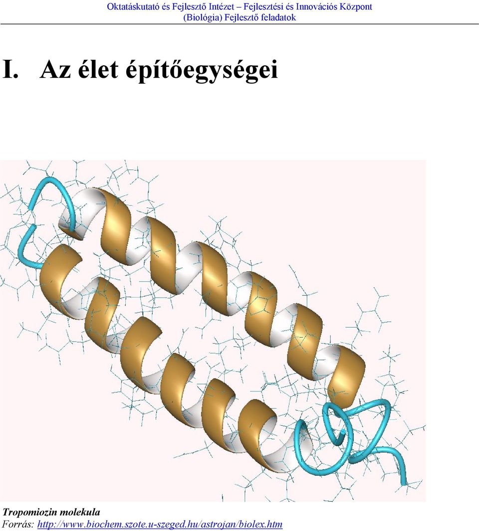 Forrás: http://www.biochem.