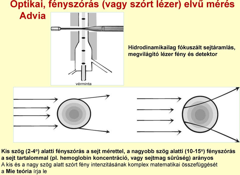 alatti (10-15 o ) fényszórás a sejt tartalommal (pl.