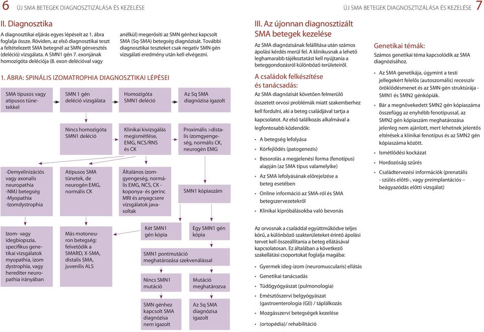 ÁBRA: SPINÁLIS IZOMATROPHIA DIAGNOSZTIKAI LÉPÉSEI SMA tipusos vagy atipusos tünetekkel -Demyelinizációs vagy axonalis neuropathia -NMJ betegség -Myopathia -Izomdystrophia SMN 1 gén deléció vizsgálata