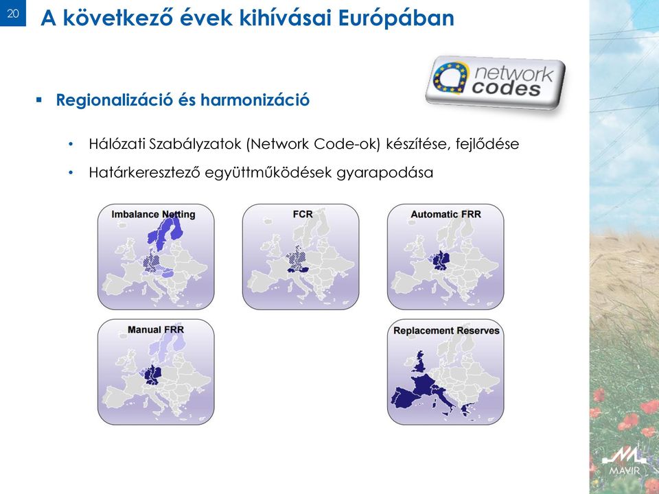 Szabályzatok (Network Code-ok) készítése,