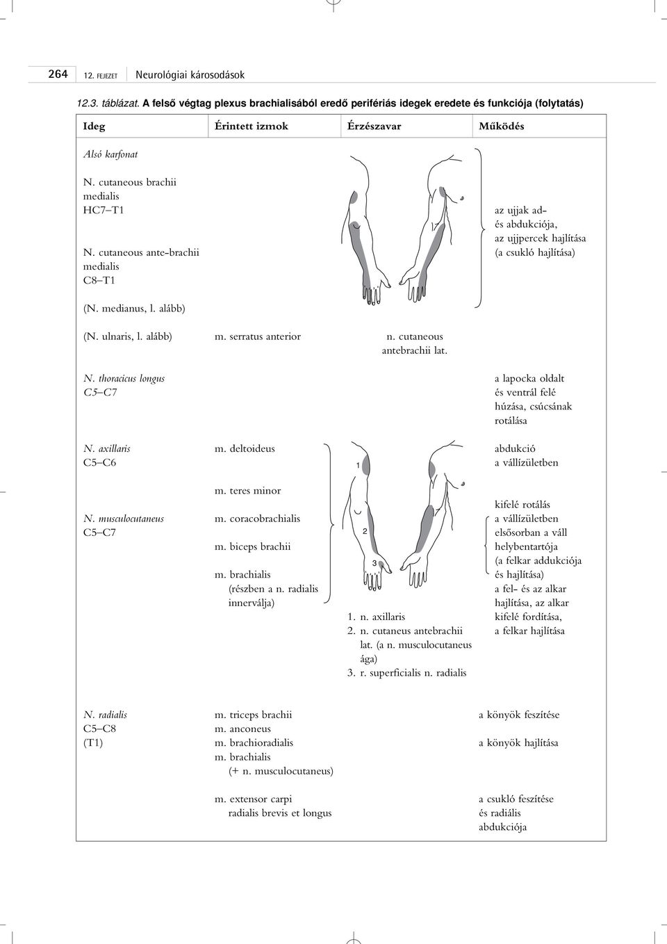 serratus anterior n. cutaneous antebrachii lat. N. thoracicus longus C5 C7 a lapocka oldalt és ventrál felé húzása, csúcsának rotálása N. axillaris C5 C6 m. deltoideus 1 abdukció a vállízületben N.