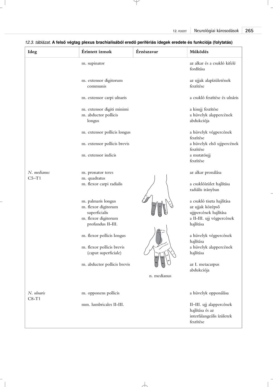 abductor pollicis longus a kisujj feszítése a hüvelyk alappercének abdukciója m. extensor pollicis longus m. extensor pollicis brevis m.