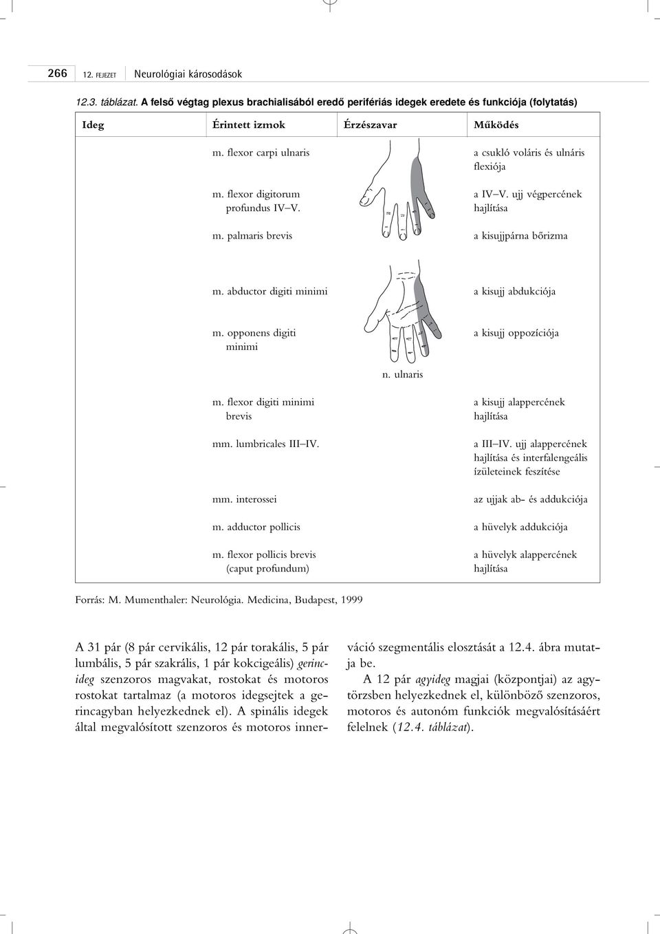 abductor digiti minimi a kisujj abdukciója m. opponens digiti minimi a kisujj oppozíciója n. ulnaris m. flexor digiti minimi brevis a kisujj alappercének hajlítása mm. lumbricales III IV. a III IV.