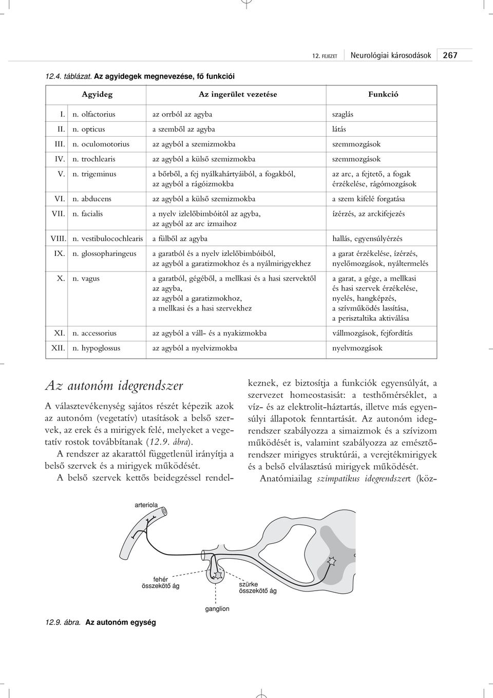 n. abducens az agyból a külsô szemizmokba a szem kifelé forgatása VII. n. facialis a nyelv izlelôbimbóitól az agyba, ízérzés, az arckifejezés az agyból az arc izmaihoz VIII. n. vestibulocochlearis a fülbôl az agyba hallás, egyensúlyérzés IX.