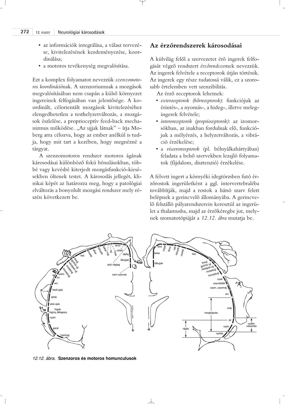 A koordinált, célorientált mozgások kivitelezéséhez elengedhetetlen a testhelyzetváltozás, a mozgások észlelése, a proprioceptív feed-back mechanizmus mûködése.