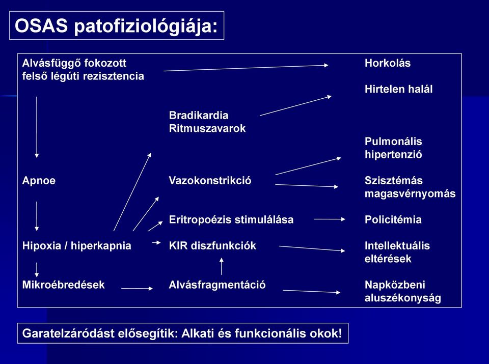 Eritropoézis stimulálása Policitémia Hipoxia / hiperkapnia KIR diszfunkciók Intellektuális eltérések