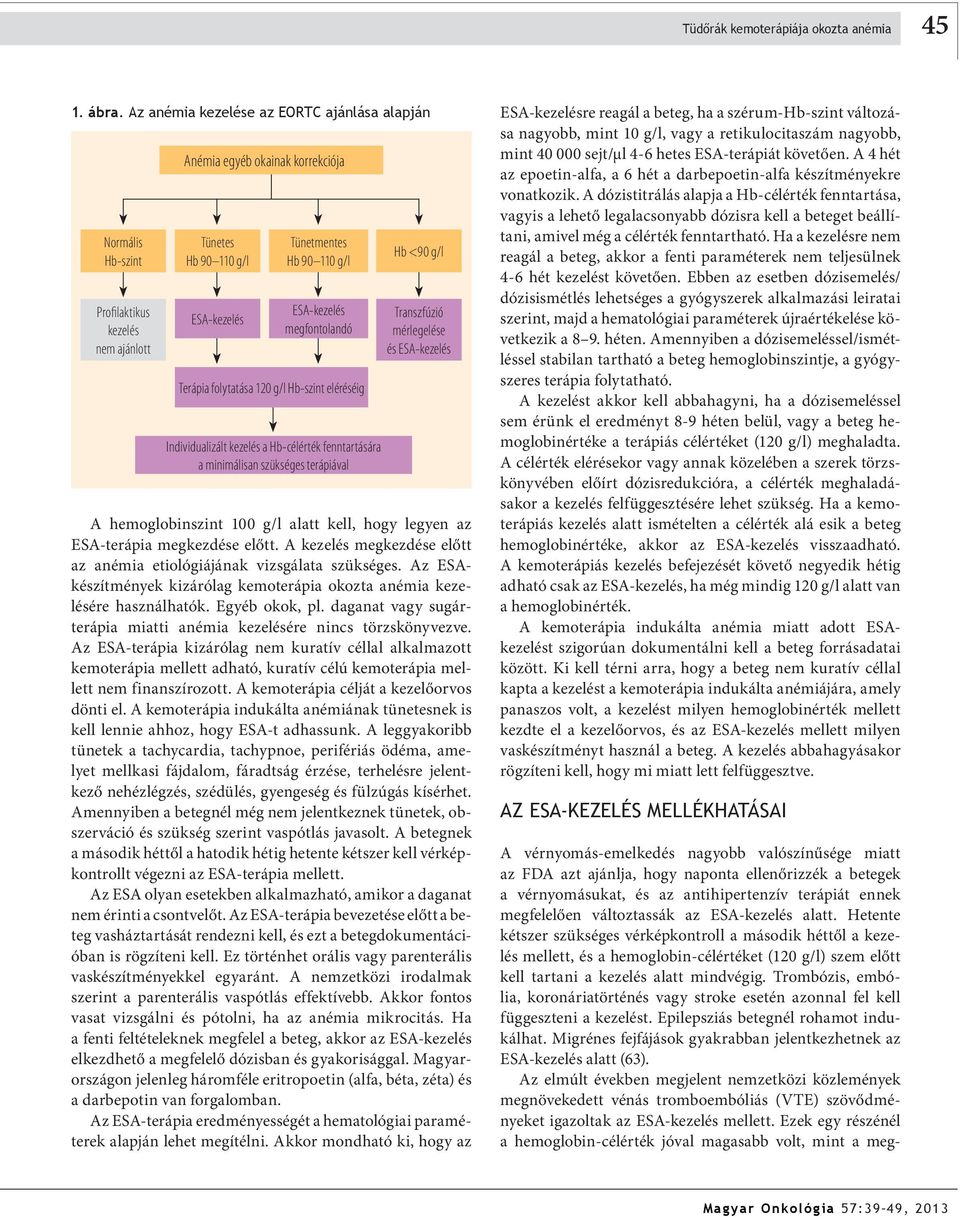 ESA-kezelés megfontolandó Terápia folytatása 120 g/l Hb-szint eléréséig Individualizált kezelés a Hb-célérték fenntartására a minimálisan szükséges terápiával Hb <90 g/l Transzfúzió mérlegelése és