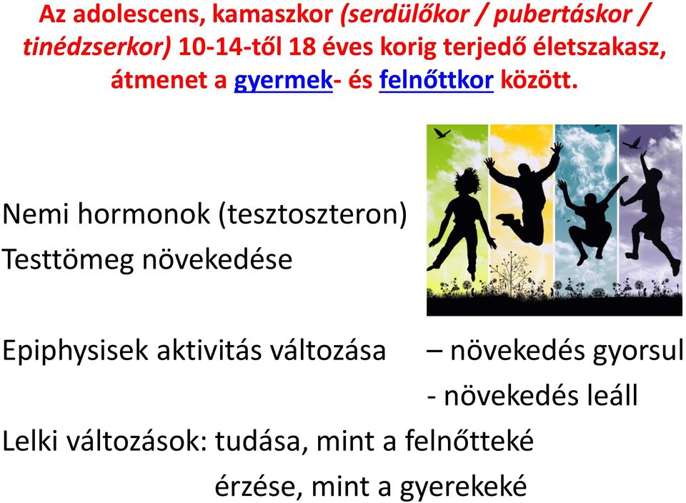 Nemi hormonok (tesztoszteron) Testtömeg növekedése Epiphysisek aktivitás változása