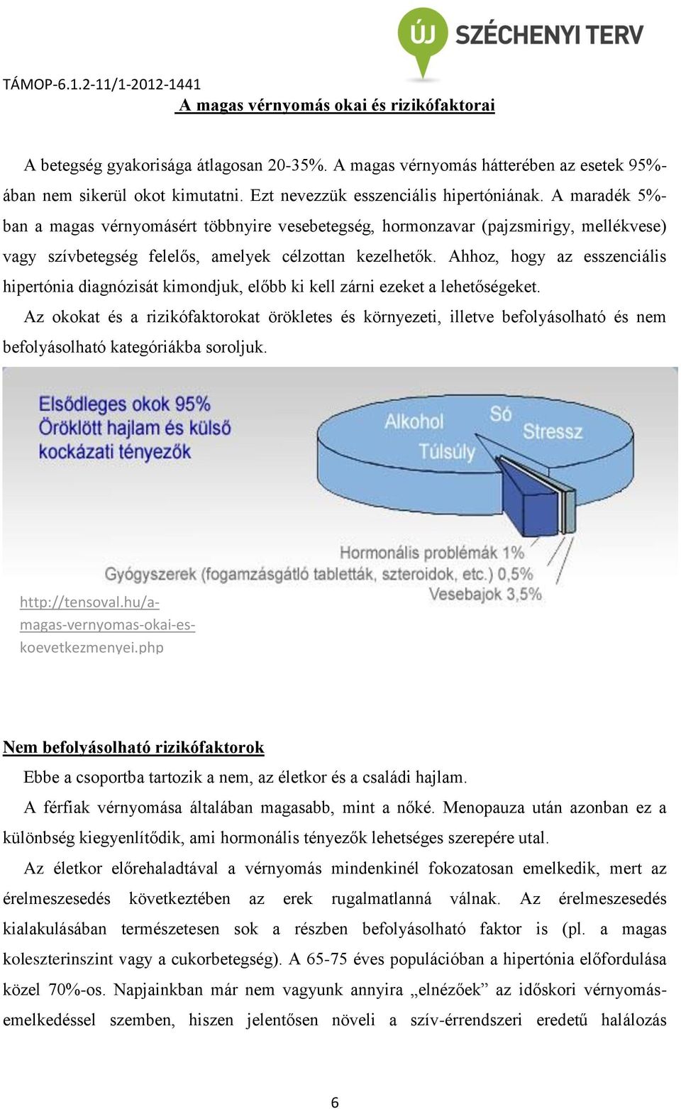 Ahhoz, hogy az esszenciális hipertónia diagnózisát kimondjuk, előbb ki kell zárni ezeket a lehetőségeket.