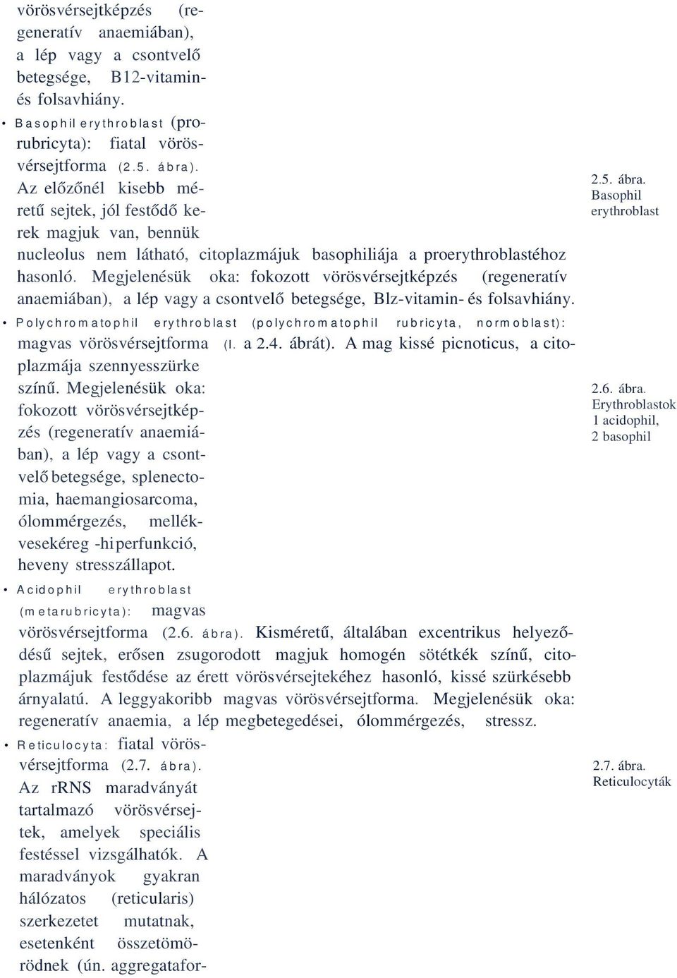 Megjelenésük oka: fokozott vörösvérsejtképzés (regeneratív anaemiában), a lép vagy a csontvelő betegsége, Blz-vitamin- és folsavhiány.