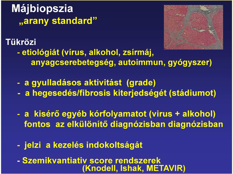 (stádiumot) - a kisérı egyéb kórfolyamatot (virus + alkohol) fontos az elkülönítı diagnózisban