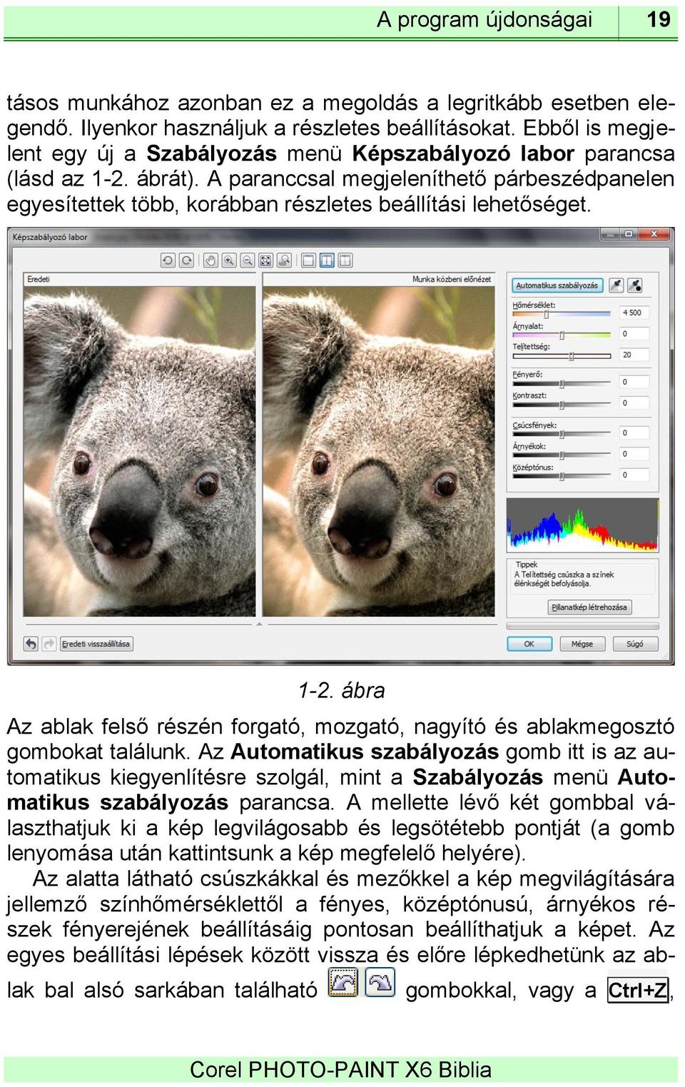 A paranccsal megjeleníthető párbeszédpanelen egyesítettek több, korábban részletes beállítási lehetőséget. 1-2. ábra Az ablak felső részén forgató, mozgató, nagyító és ablakmegosztó gombokat találunk.