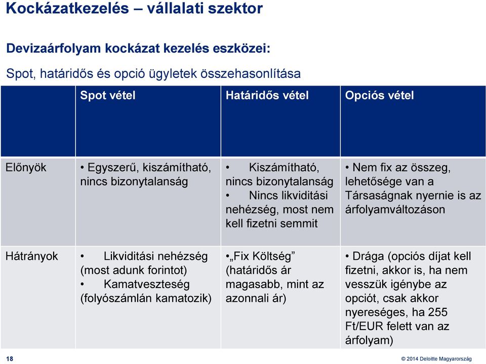 lehetősége van a Társaságnak nyernie is az árfolyamváltozáson Hátrányok Likviditási nehézség (most adunk forintot) Kamatveszteség (folyószámlán kamatozik) 18 Fix Költség