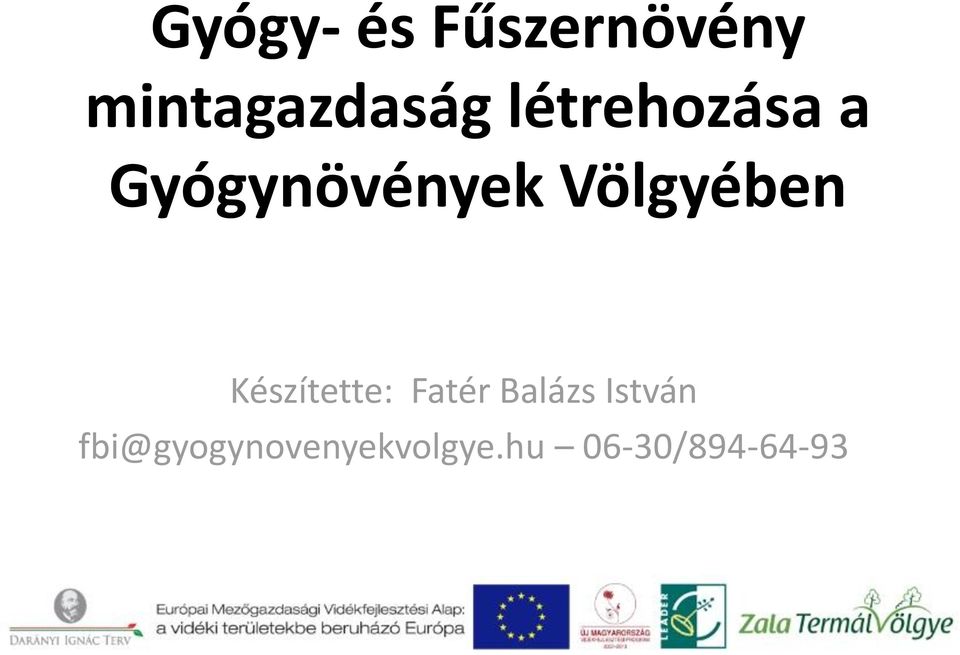 Készítette: Fatér Balázs István