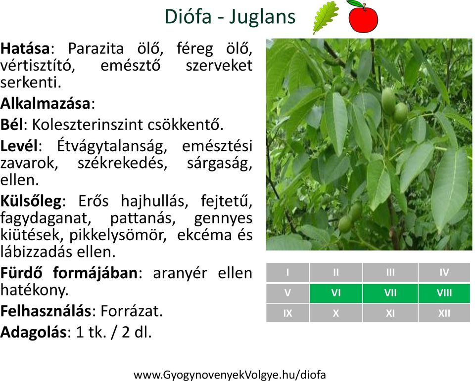 Külsőleg: Erős hajhullás, fejtetű, fagydaganat, pattanás, gennyes kiütések, pikkelysömör, ekcéma és lábizzadás ellen.