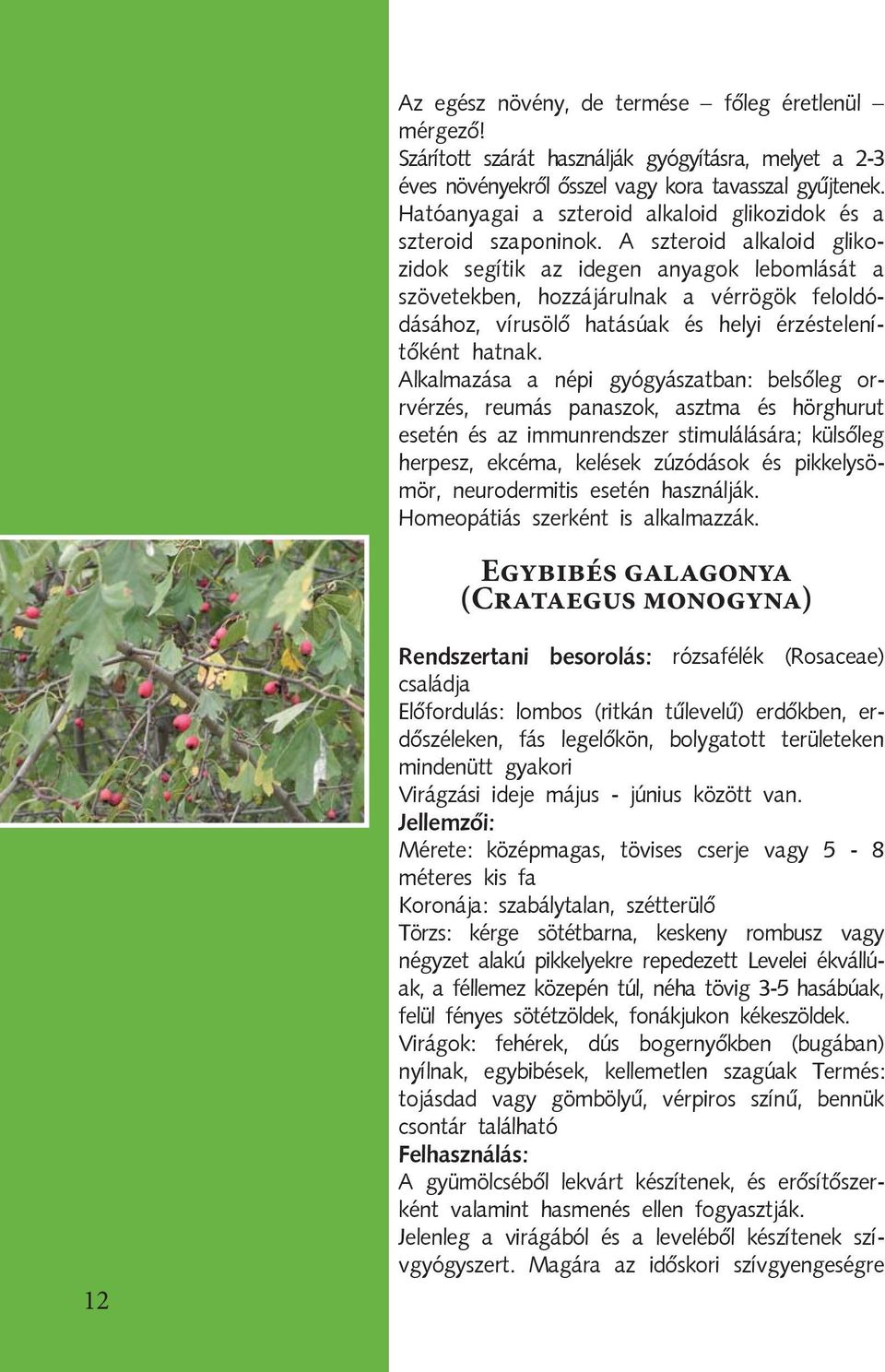 A szteroid alkaloid glikozidok segítik az idegen anyagok lebomlását a szövetekben, hozzájárulnak a vérrögök feloldódásához, vírusölő hatásúak és helyi érzéstelenítőként hatnak.