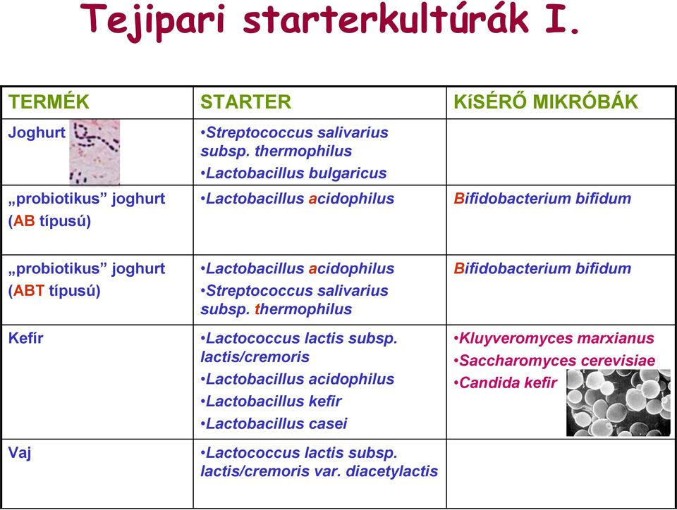 Lactobacillus acidophilus Streptococcus salivarius subsp. thermophilus Lactococcus lactis subsp.