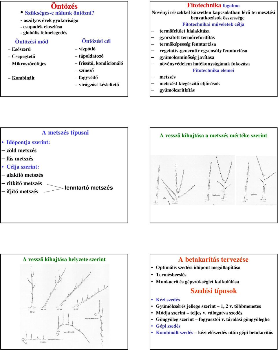 színező fagyvédő virágzást késleltető Fitotechnika fogalma Növényi részekkel közvetlen kapcsolatban lévő termesztési beavatkozások összessége Fitotechnikai műveletek célja termőfelület kialakítása