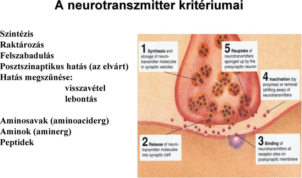 (az elvárt) Hatás megszűnése: visszavétel