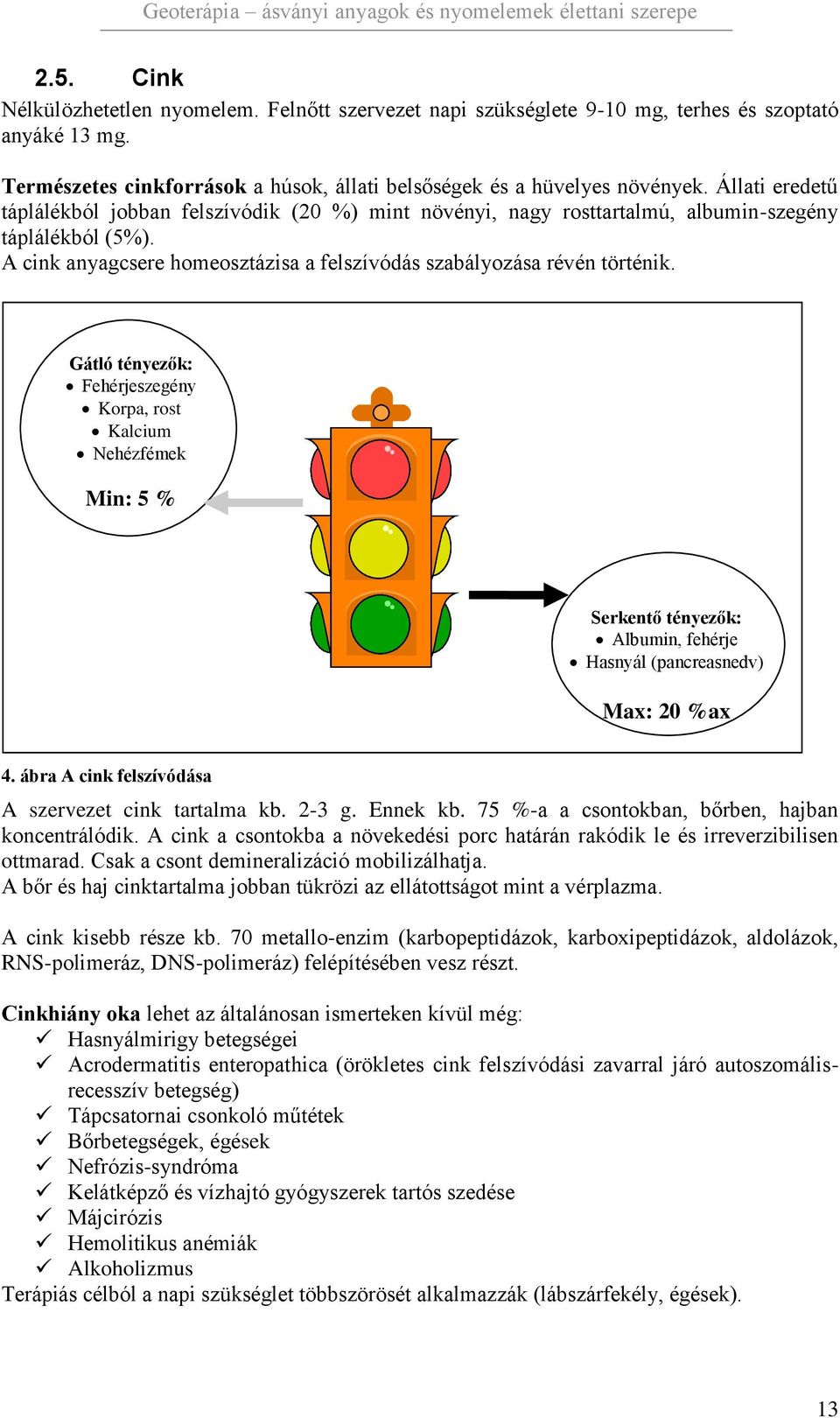 Gátló tényezők: Fehérjeszegény Korpa, rost Kalcium Nehézfémek Min: 5 % Serkentő tényezők: Albumin, fehérje Hasnyál (pancreasnedv) Max: 20 %ax 4. ábra A cink felszívódása A szervezet cink tartalma kb.