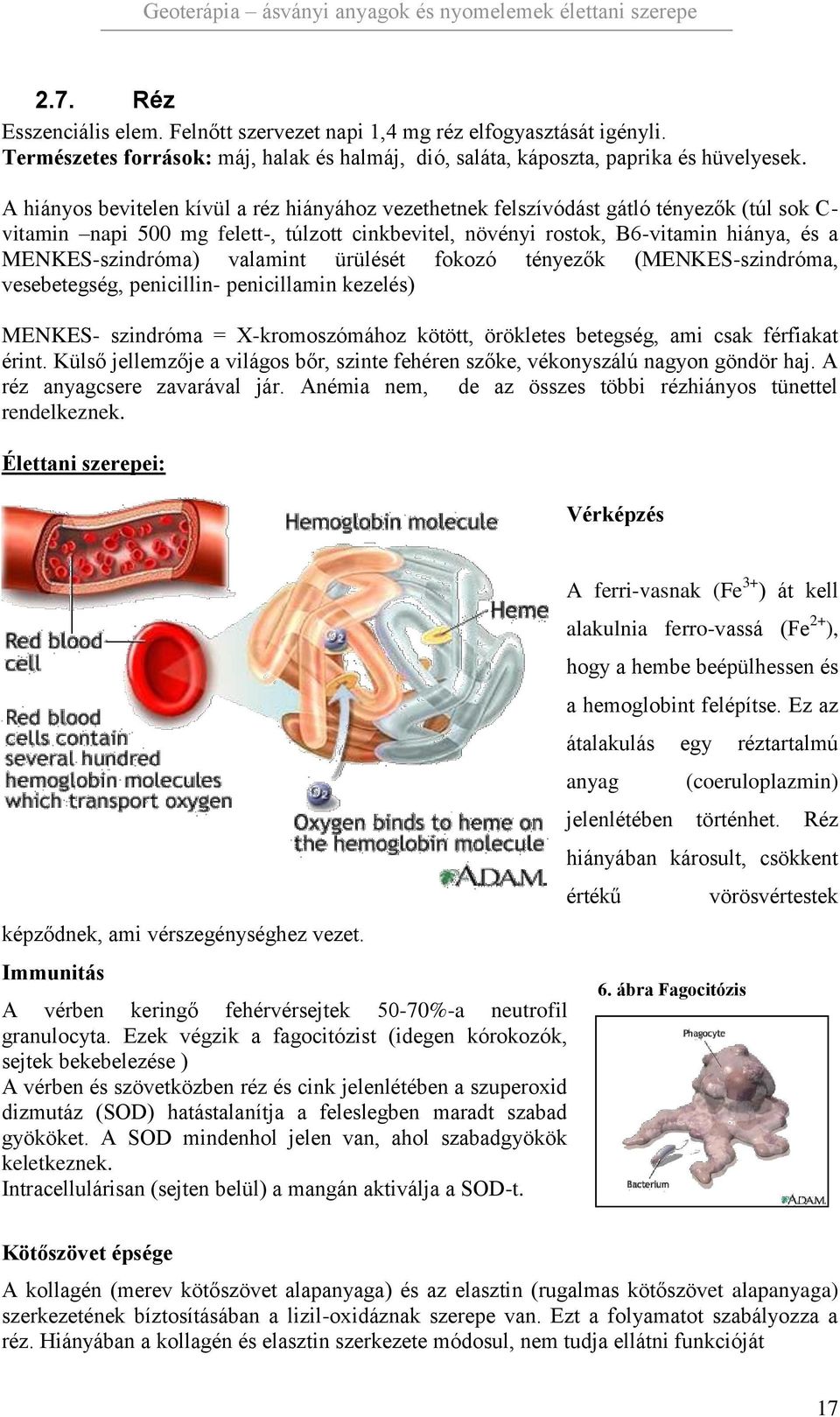 MENKES-szindróma) valamint ürülését fokozó tényezők (MENKES-szindróma, vesebetegség, penicillin- penicillamin kezelés) MENKES- szindróma = X-kromoszómához kötött, örökletes betegség, ami csak