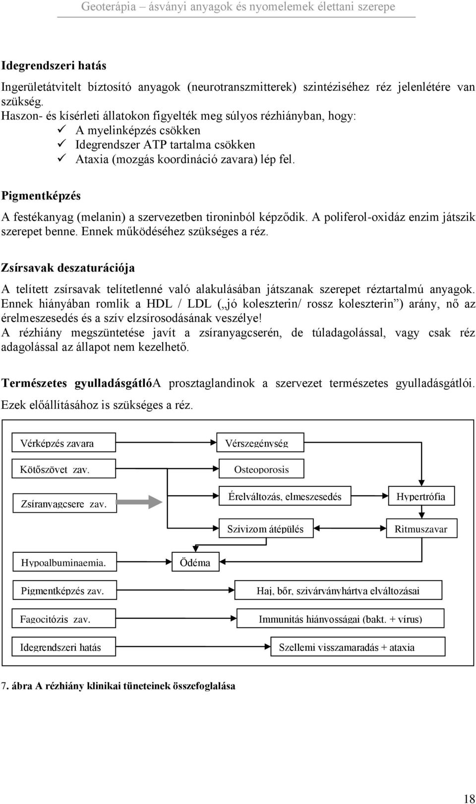 Pigmentképzés A festékanyag (melanin) a szervezetben tironinból képződik. A poliferol-oxidáz enzim játszik szerepet benne. Ennek működéséhez szükséges a réz.