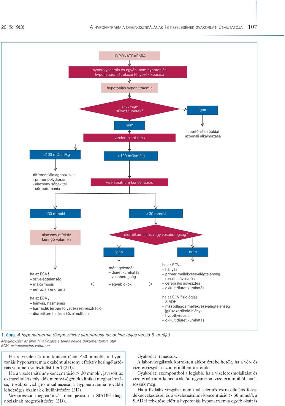 ECV: extracelluláris volumen Ha a vizeletnátrium-koncentráció 30 mmol/l, a hypotoniás hyponatraemia okaként alacsony effektív keringô arté - riás volumen valószínûsíthetô (2D).