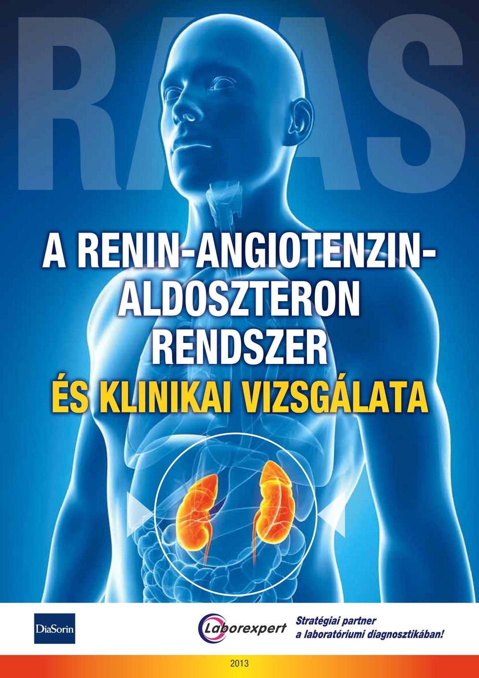 rendszer és klinikai