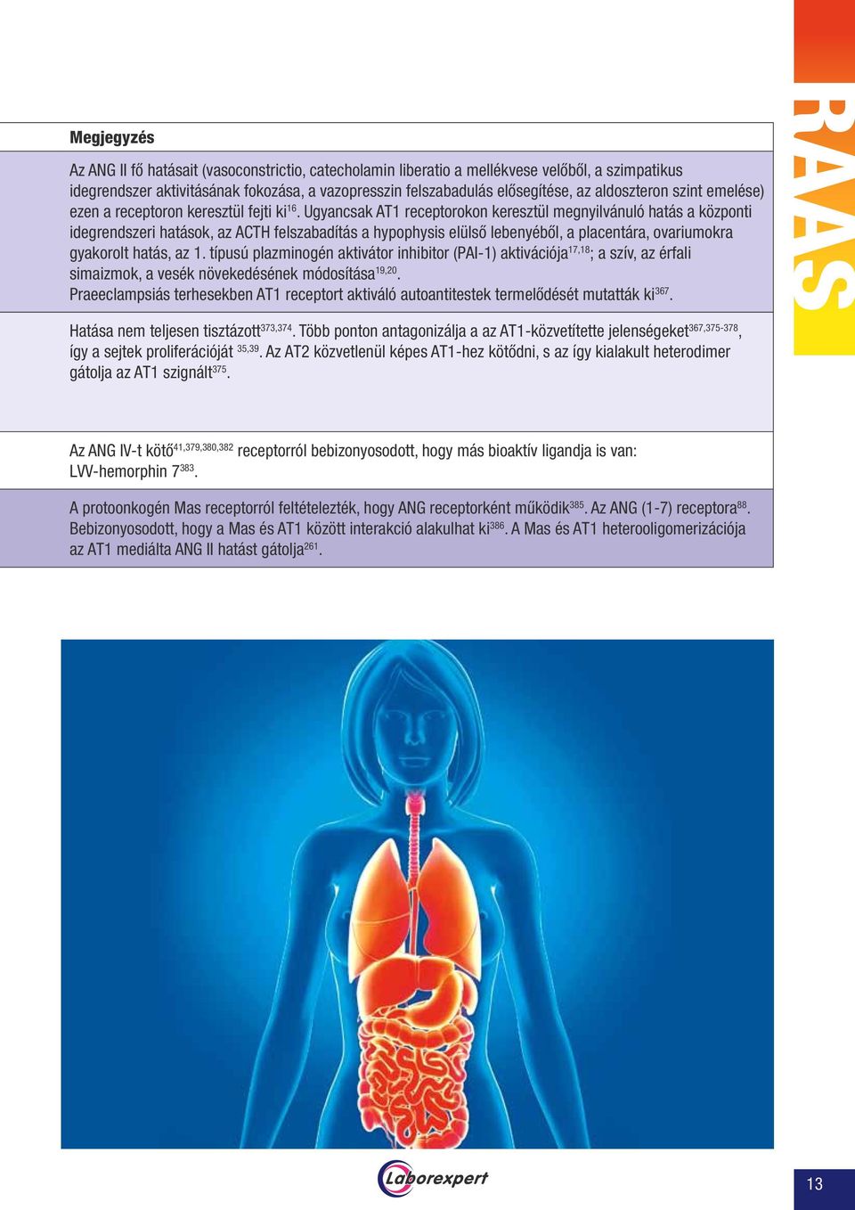 Ugyancsak AT1 receptorokon keresztül megnyilvánuló hatás a központi idegrendszeri hatások, az ACTH felszabadítás a hypophysis elülső lebenyéből, a placentára, ovariumokra gyakorolt hatás, az 1.