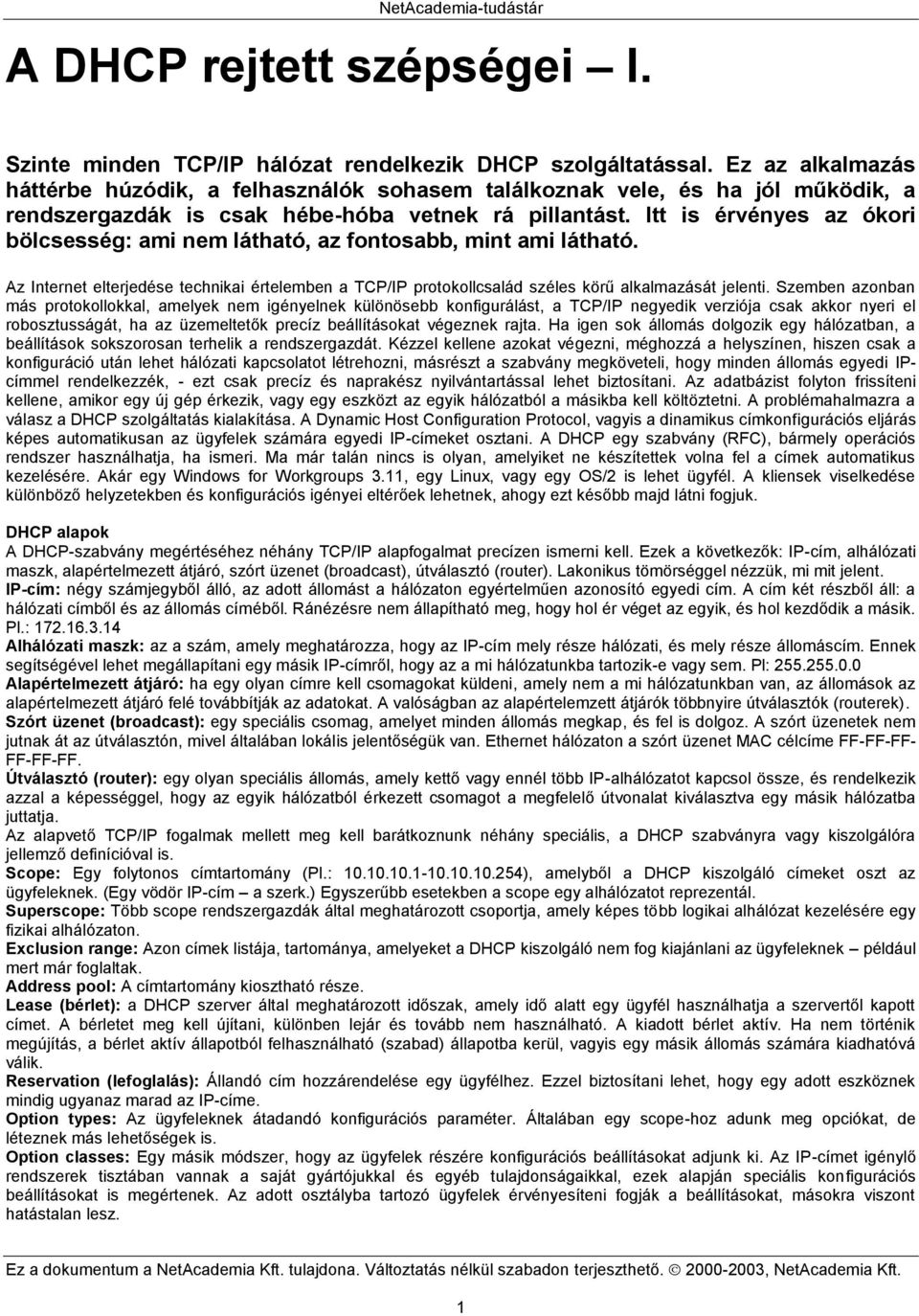 Itt is érvényes az ókori bölcsesség: ami nem látható, az fontosabb, mint ami látható. Az Internet elterjedése technikai értelemben a TCP/IP protokollcsalád széles körű alkalmazását jelenti.