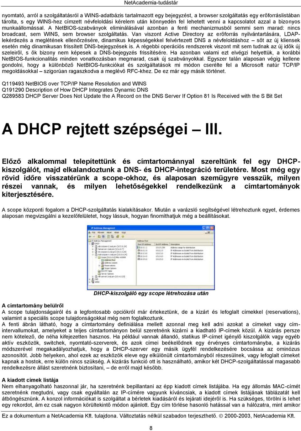 Van viszont Active Directory az erőforrás nyilvántartására, LDAPlekérdezés a meglétének ellenőrzésére, dinamikus képességekkel felvértezett DNS a névfeloldáshoz sőt az új kliensek esetén még