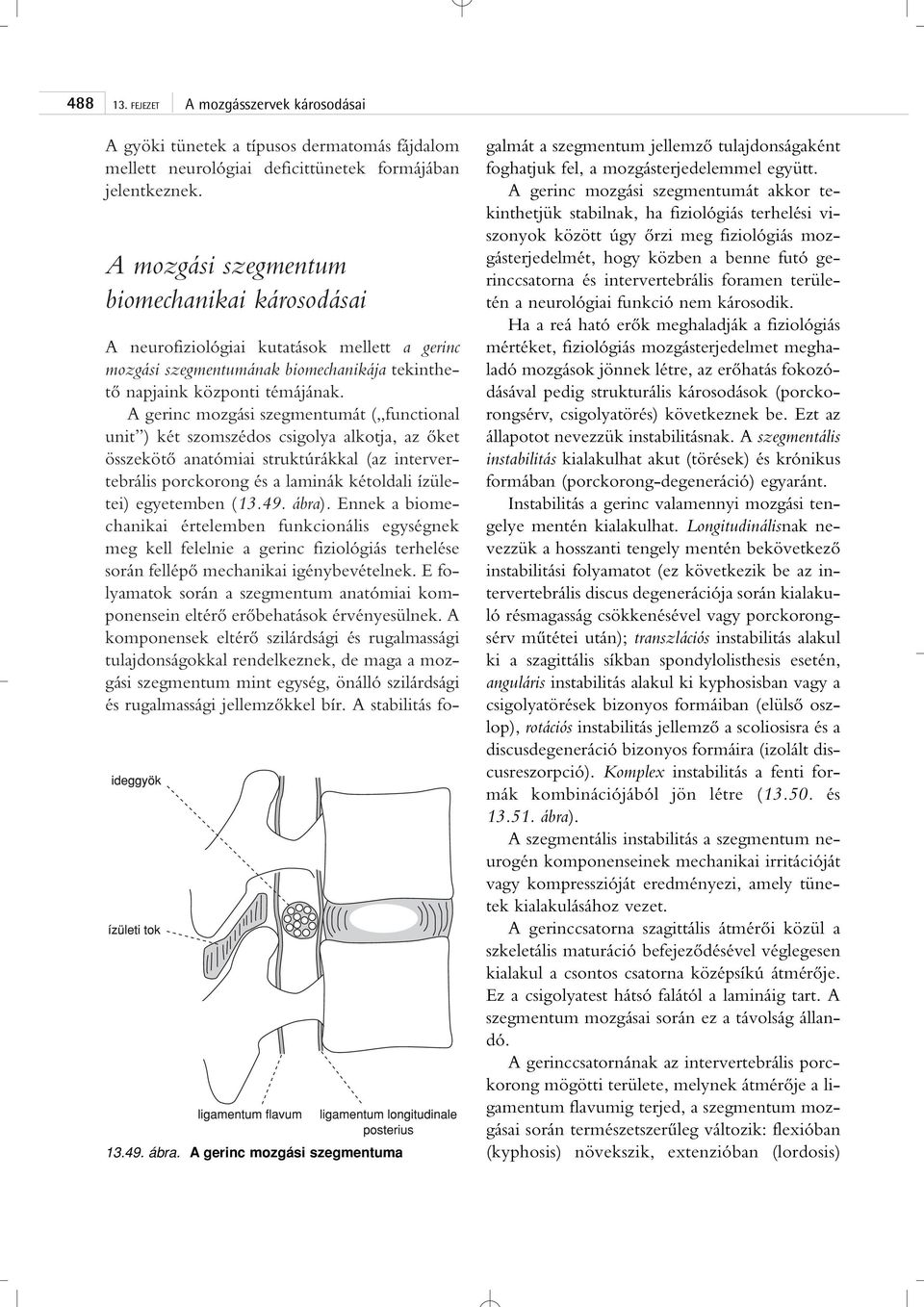 A gerinc mozgási szegmentumát ( functional unit ) két szomszédos csigolya alkotja, az ôket összekötô anatómiai struktúrákkal (az intervertebrális porckorong és a laminák kétoldali ízületei)