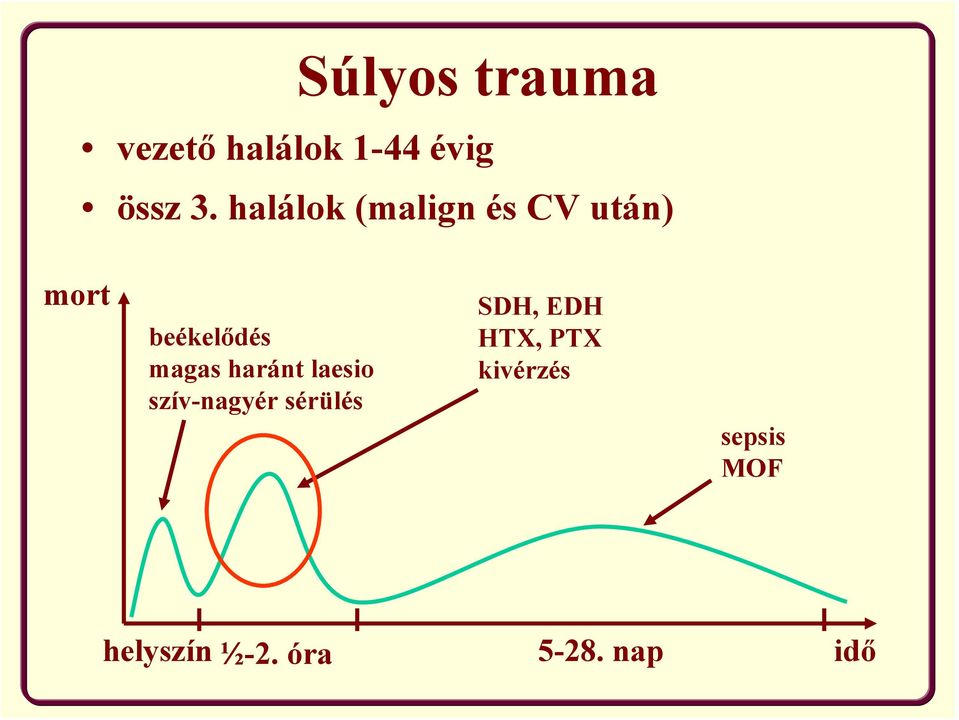 haránt laesio szív-nagyér sérülés SDH, EDH HTX,