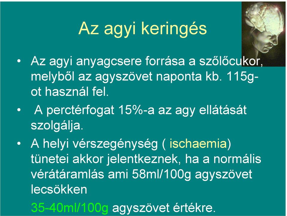 A perctérfogat 15%-a az agy ellátását szolgálja.