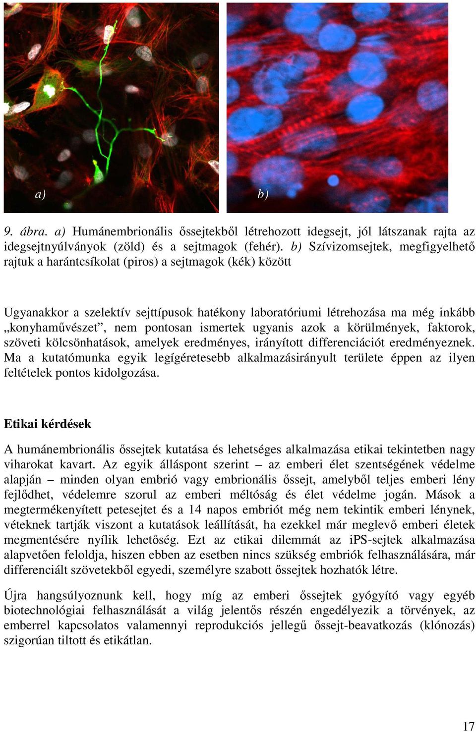 pontosan ismertek ugyanis azok a körülmények, faktorok, szöveti kölcsönhatások, amelyek eredményes, irányított differenciációt eredményeznek.