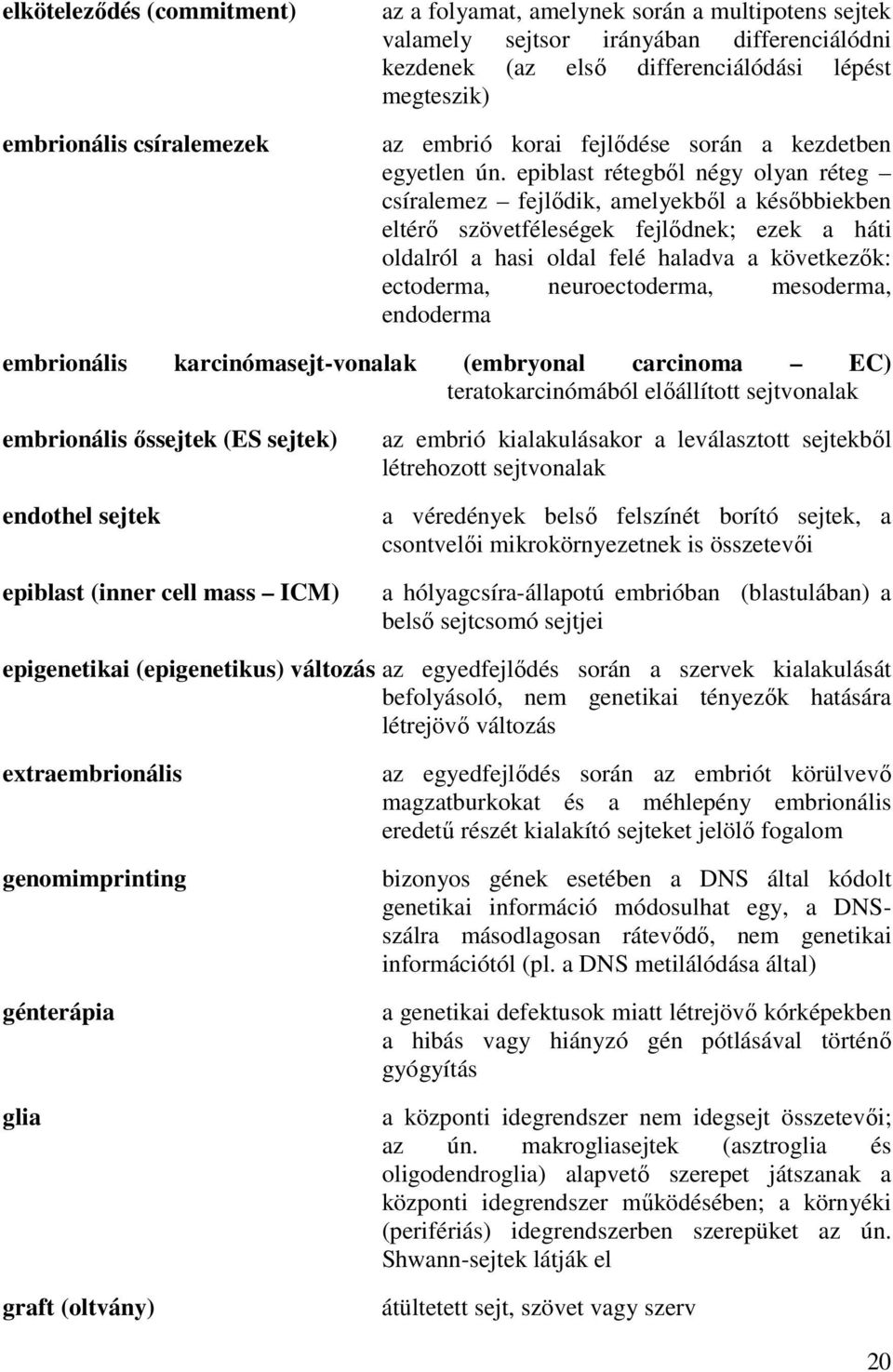 epiblast rétegből négy olyan réteg csíralemez fejlődik, amelyekből a későbbiekben eltérő szövetféleségek fejlődnek; ezek a háti oldalról a hasi oldal felé haladva a következők: ectoderma,