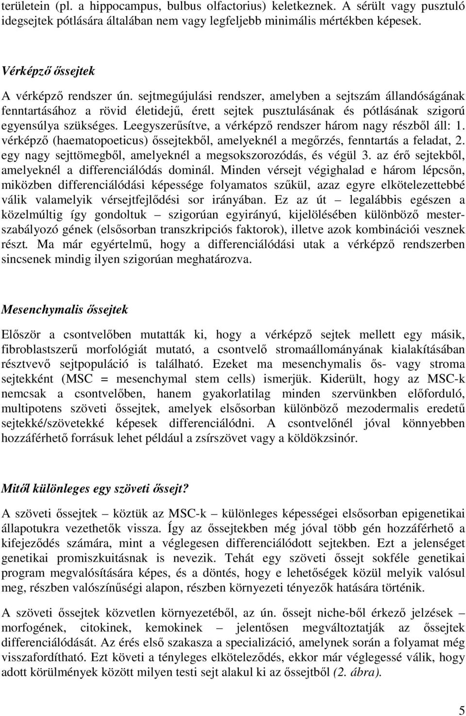 sejtmegújulási rendszer, amelyben a sejtszám állandóságának fenntartásához a rövid életidejű, érett sejtek pusztulásának és pótlásának szigorú egyensúlya szükséges.