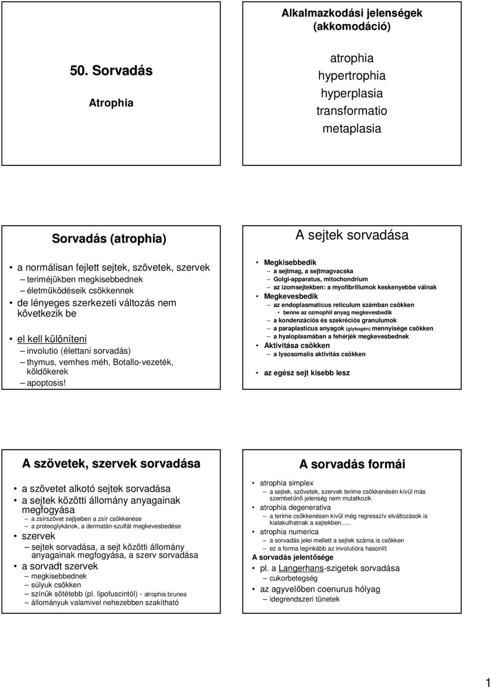 csökkennek de lényeges szerkezeti változás nem következik be el kell különíteni involutio (élettani sorvadá thymus, vemhes méh, Botallo-vezeték, köldökerek apoptosis!