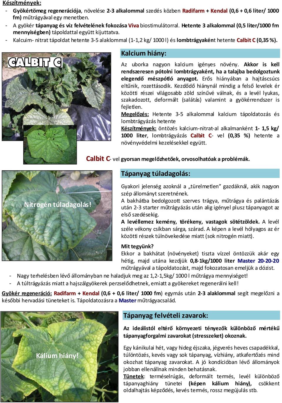 - Kalcuim- nitrat tápoldat hetente 3-5 alaklommal (1-1,2 kg/ 1000 l) és lombtrágyaként hetente Calbit C (0,35 %). Nitrogén túladagolás! Kalcium hiány: Az uborka nagyon kalcium igényes növény.