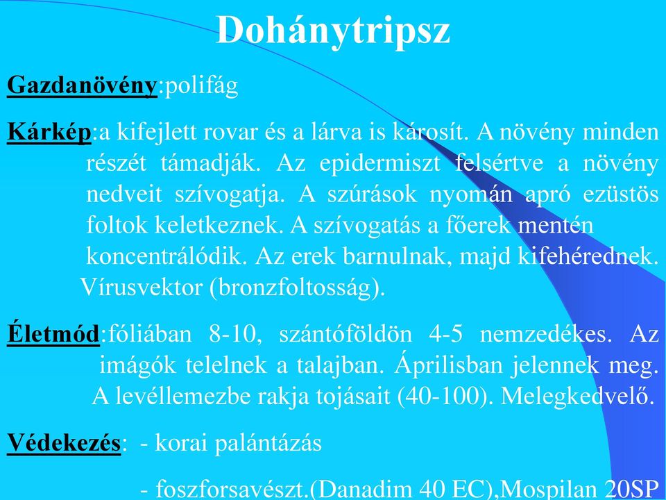 A szívogatás a főerek mentén koncentrálódik. Az erek barnulnak, majd kifehérednek. Vírusvektor (bronzfoltosság).