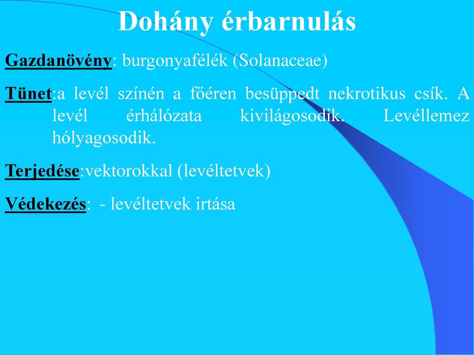 A levél érhálózata kivilágosodik. Levéllemez hólyagosodik.