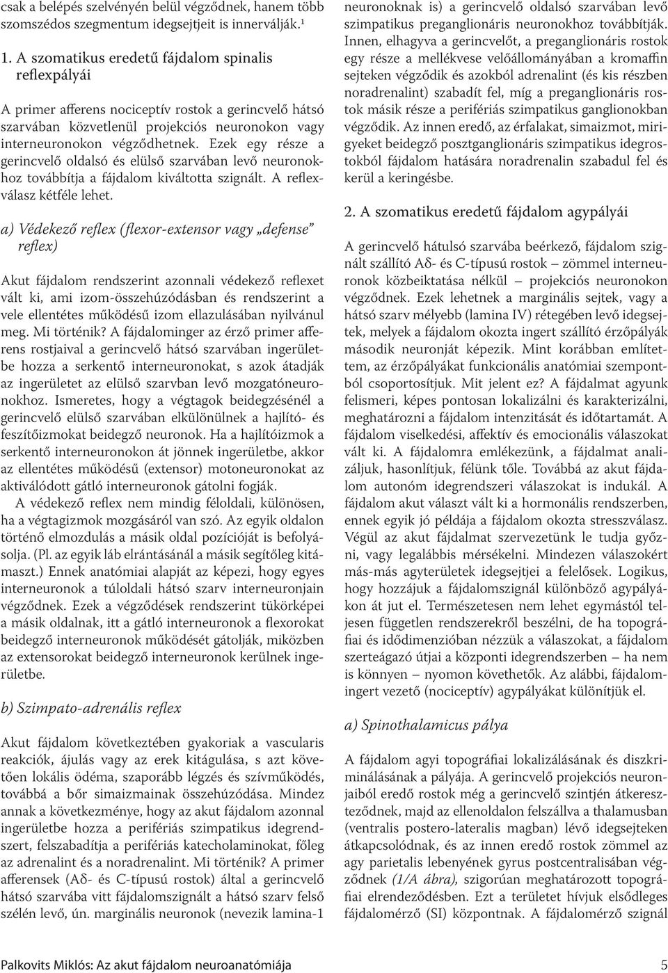 Ezek egy része a gerincvelő oldalsó és elülső szarvában levő neuronokhoz továbbítja a fájdalom kiváltotta szignált. A reflexválasz kétféle lehet.