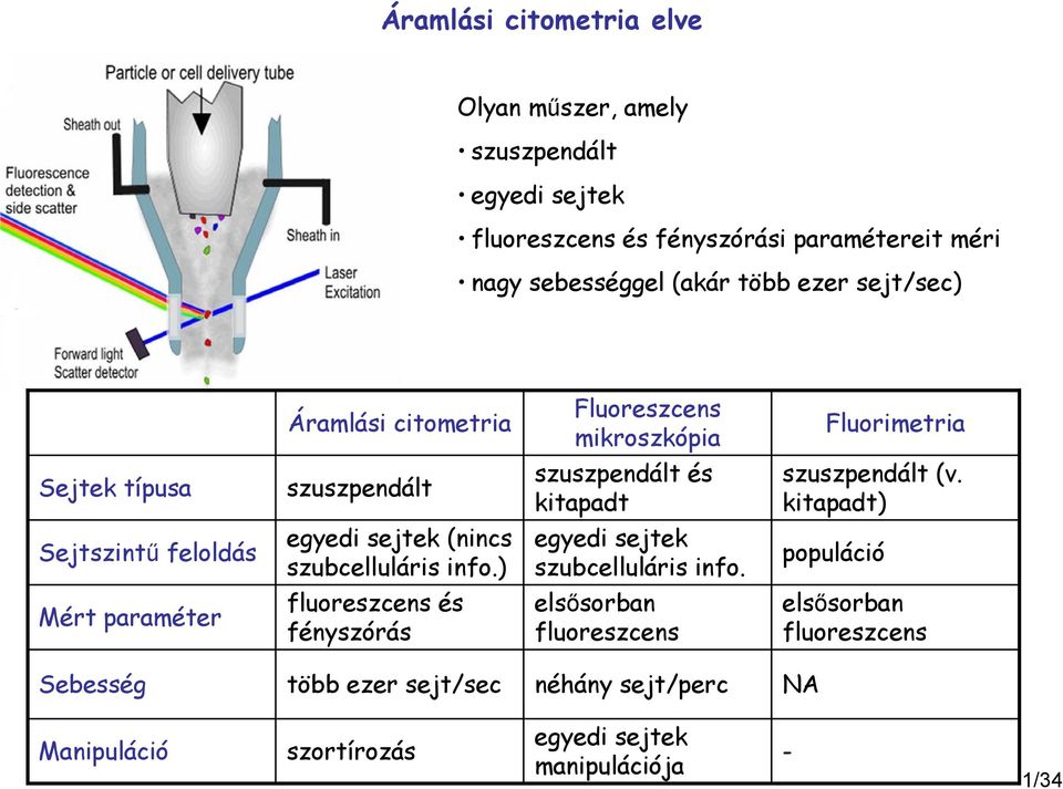 kitapadt) Sejtszintű feloldás egyedi sejtek (nincs szubcelluláris info.) egyedi sejtek szubcelluláris info.