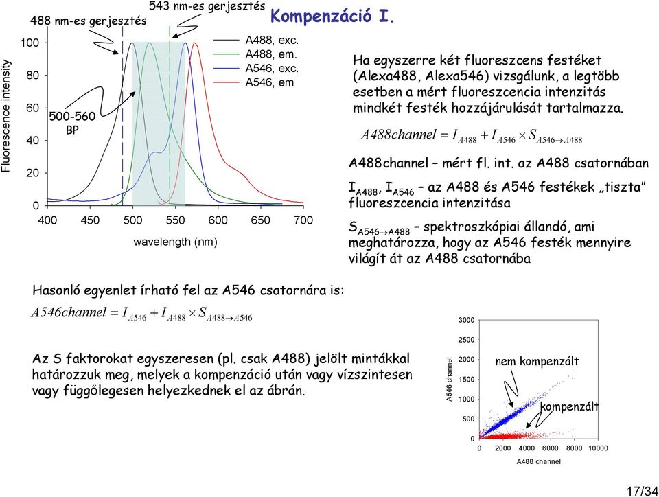 A488channel = I + I S A488 A546 A546 A488 A488channel mért fl. int.