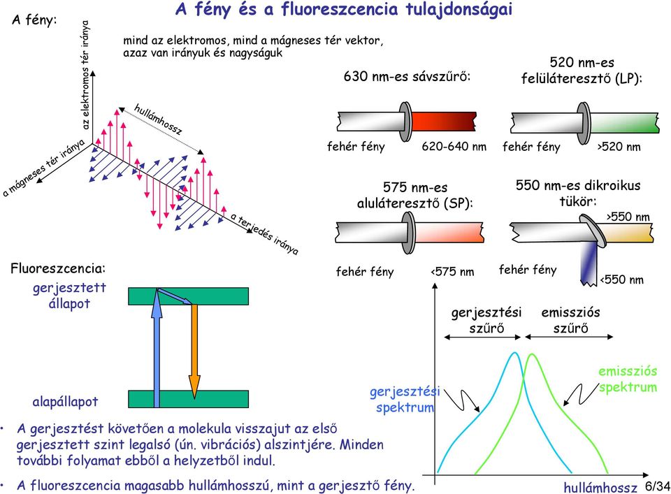 Fluoreszcencia: gerjesztett állapot fehér fény <575 nm gerjesztési szűrő fehér fény emissziós szűrő <550 nm gerjesztési alapállapot spektrum A gerjesztést követően a molekula visszajut az