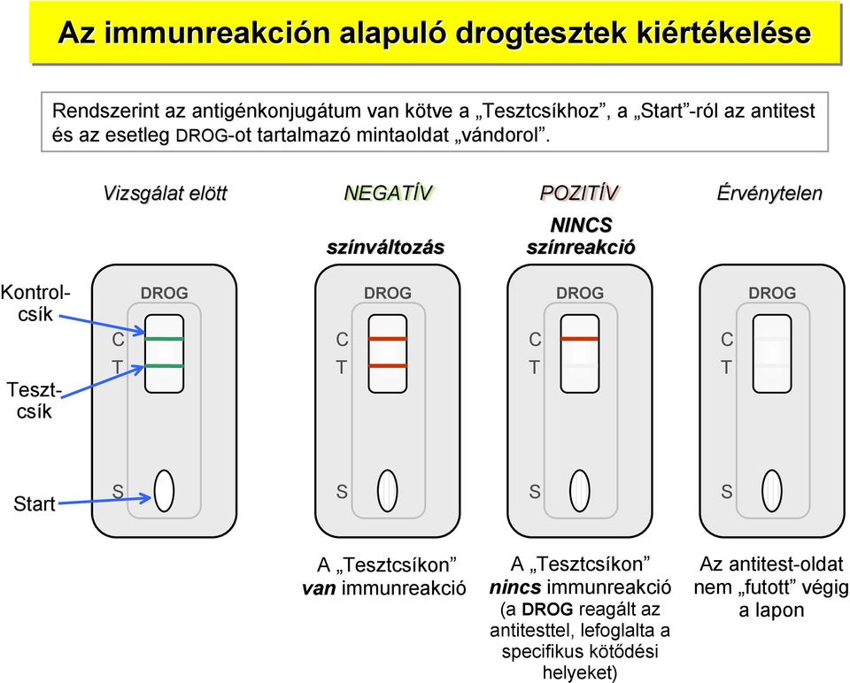 Vizsgálat elött NEGATÍV színváltozás PZITÍV NINCS színreakció Érvénytelen Kontrolcsík Tesztcsík C T DRG C T DRG C T DRG C T DRG