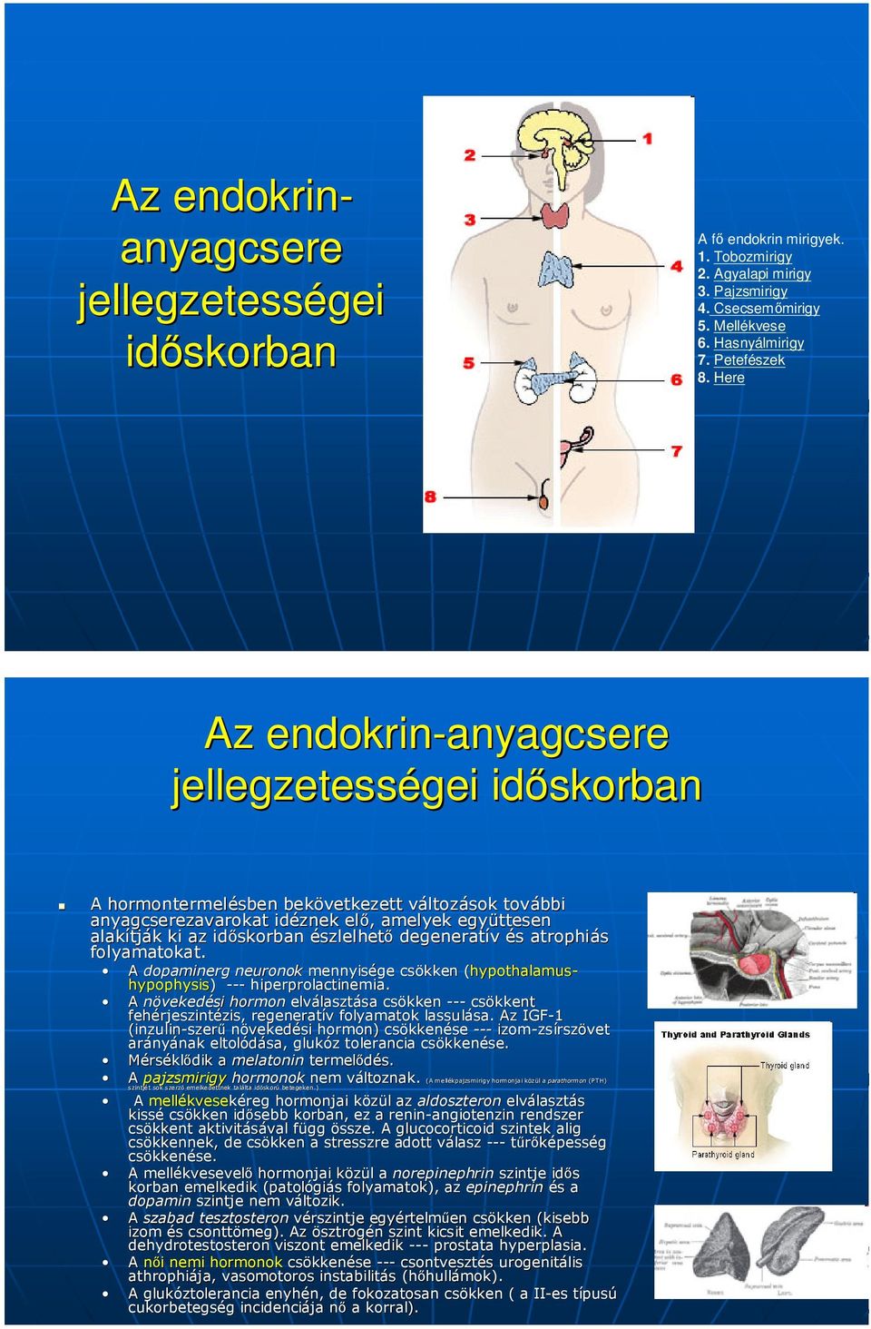 amelyek együttesen alakítj tják k ki az időskorban észlelhető degeneratív és atrophiás folyamatokat.