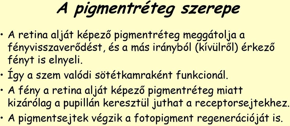 Így a szem valódi sötétkamraként funkcionál.