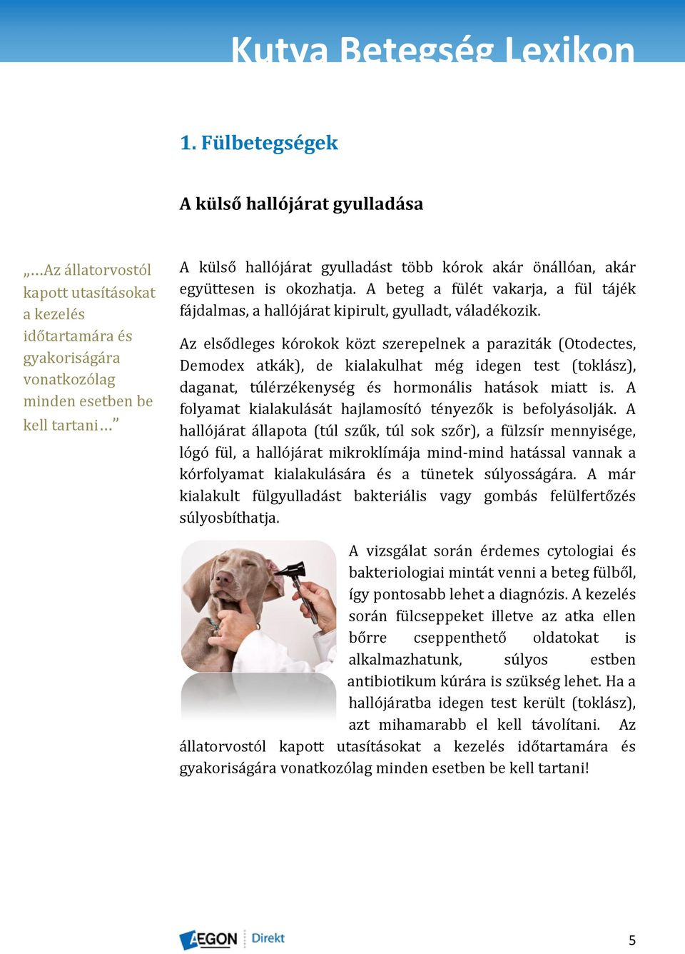 Az elsődleges kórokok közt szerepelnek a paraziták (Otodectes, Demodex atkák), de kialakulhat még idegen test (toklász), daganat, túlérzékenység és hormonális hatások miatt is.