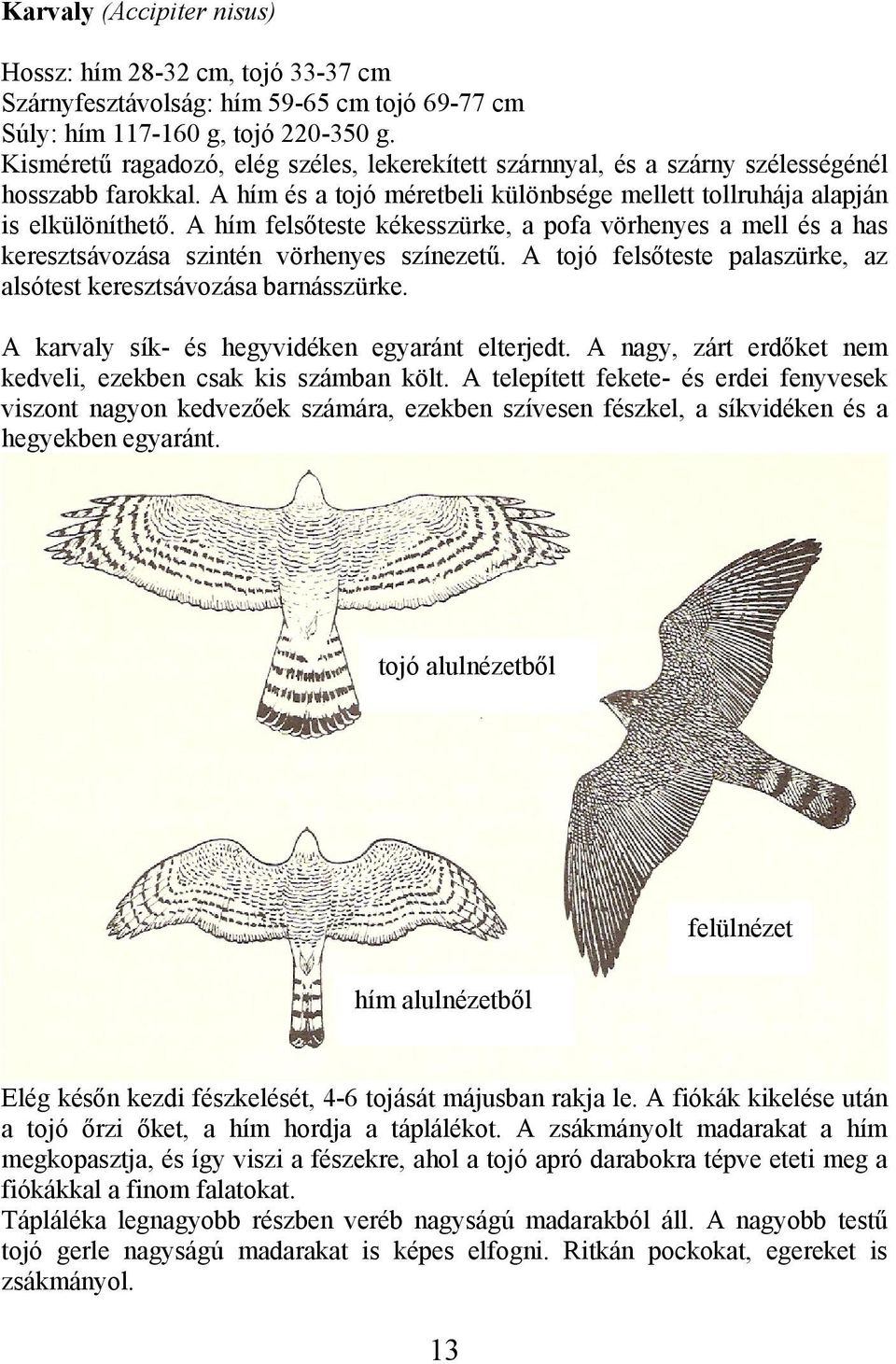 A hím felsőteste kékesszürke, a pofa vörhenyes a mell és a has keresztsávozása szintén vörhenyes színezetű. A tojó felsőteste palaszürke, az alsótest keresztsávozása barnásszürke.